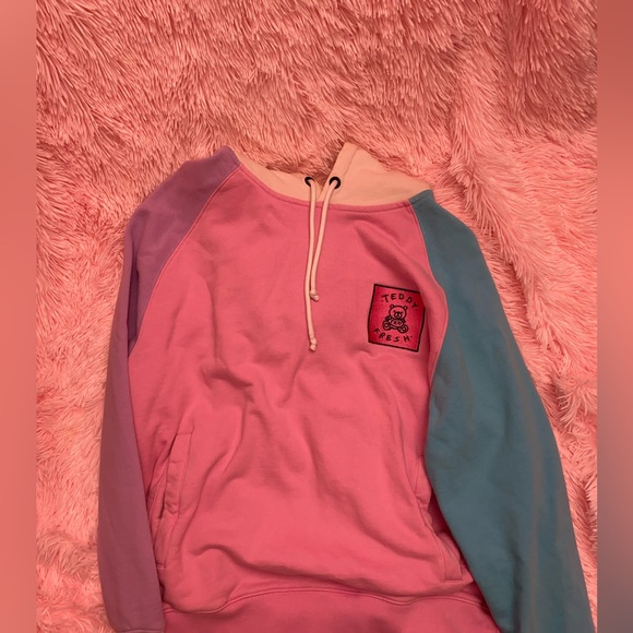 TEDDY FRESH LIMITED EDITION CLASSIC COLORBLOCK HOODIE - Picture 2 of 5